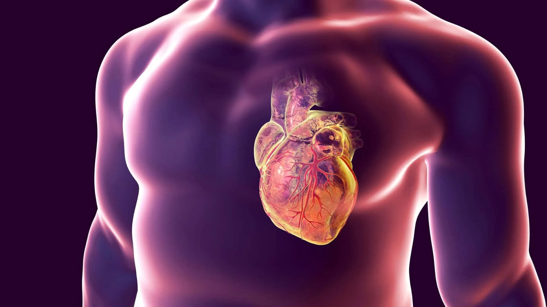 Testosterone and Heart Disease