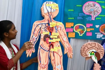 What Is the Biggest Organ in the Human Body?