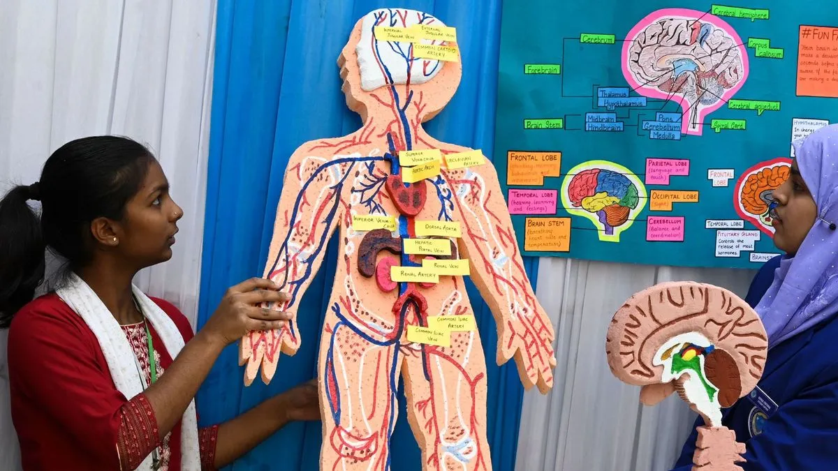 What Is the Biggest Organ in the Human Body?