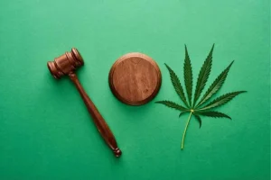 Is THC Legal in Florida?