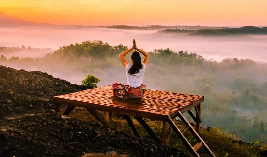 Wellness
