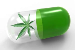 A Beginner’s Guide to Understanding Cannabinoid Isolates