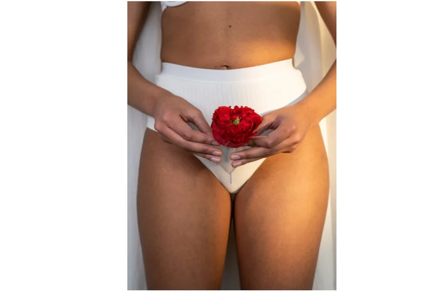 Menstrual Cycle