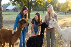 How Residential Programs in Dallas Help Teen Girls Rebuild Confidence and Emotional Stability